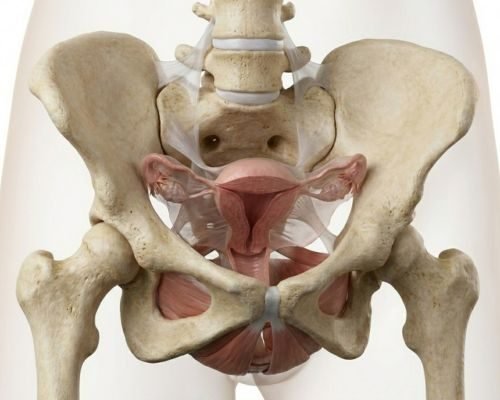 Uterine Prolapse
